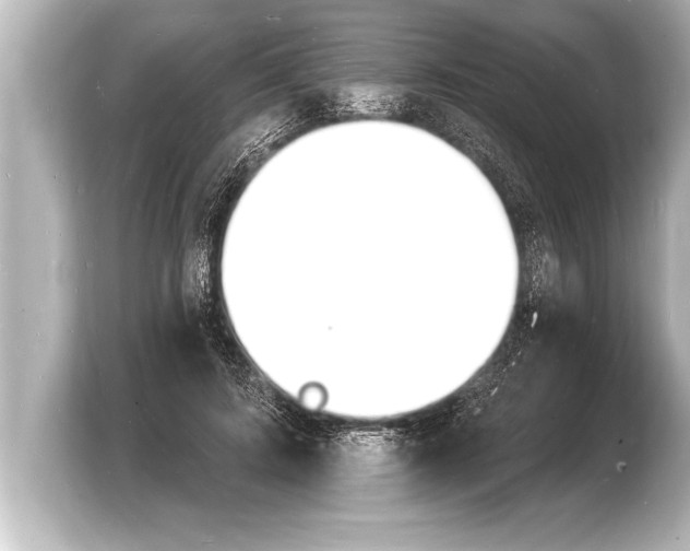 X0000103970595200810031226