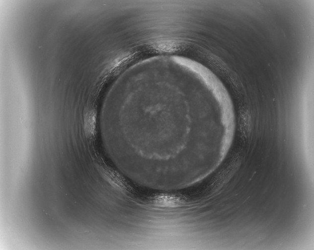 X0000103970596200810031226