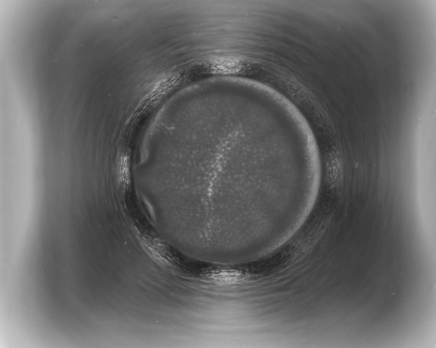 X0000103970598200810031226