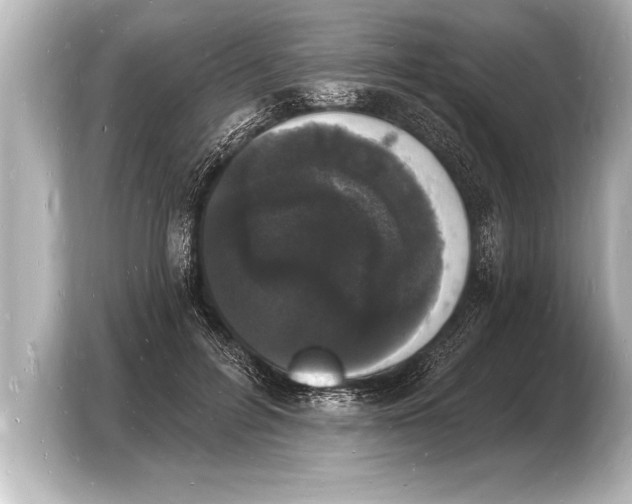 X0000103970600200810031226