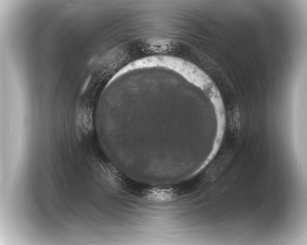 X0000103970606200810031226