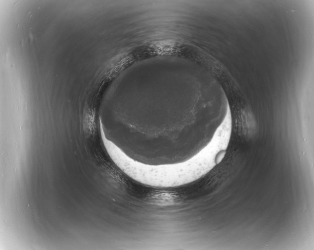 X0000103970610200810031226