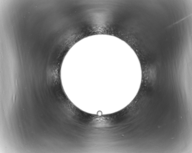 X0000103970611200810031226