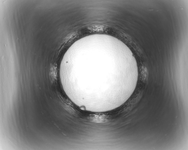 X0000103970612200810031226