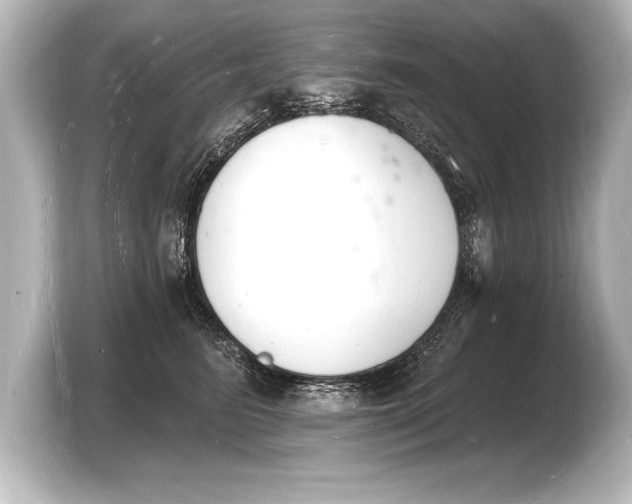 X0000103970615200810031226