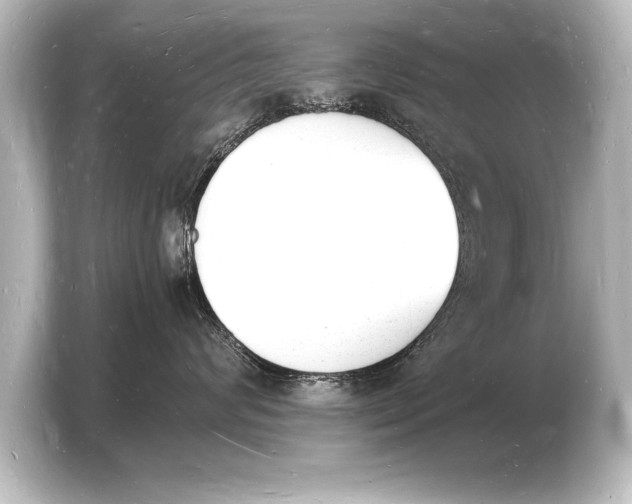 X0000103970624200810031225