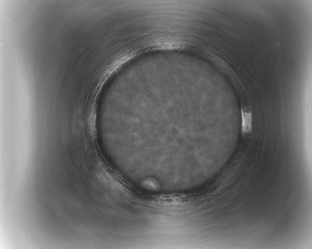 X0000103970627200810031225