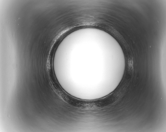 X0000103970628200810031225