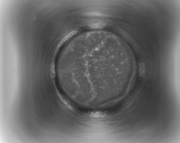 X0000103970634200810031225