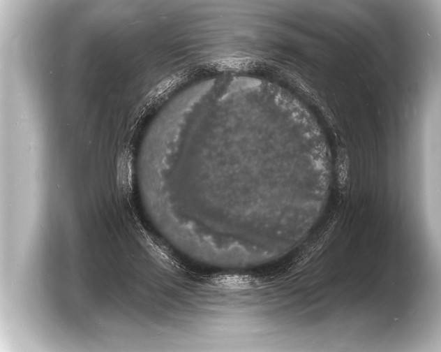 X0000103970637200810031225