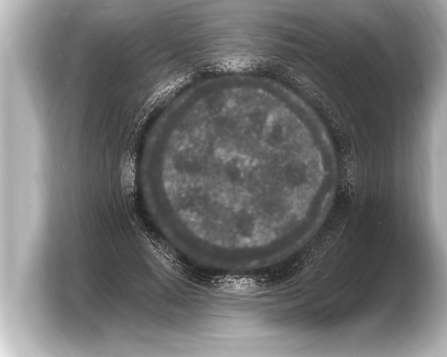 X0000103970640200810031225