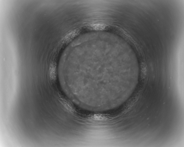 X0000103970641200810031225