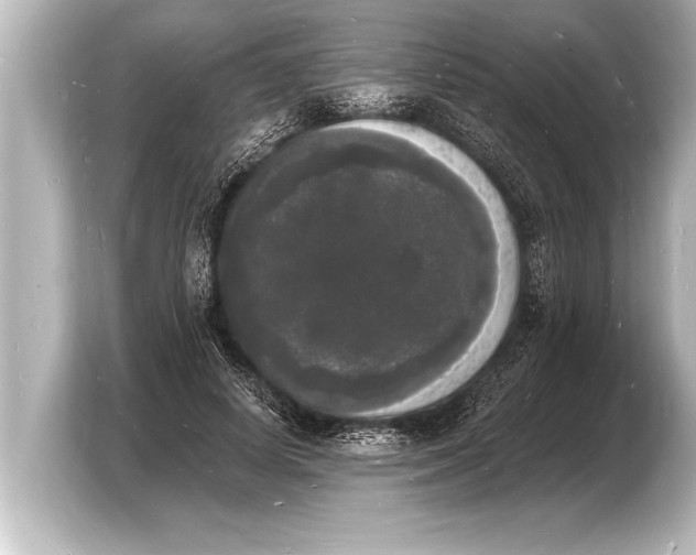 X0000103970642200810031225