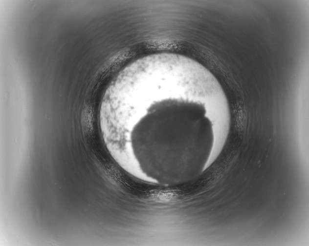 X0000103970643200810031225