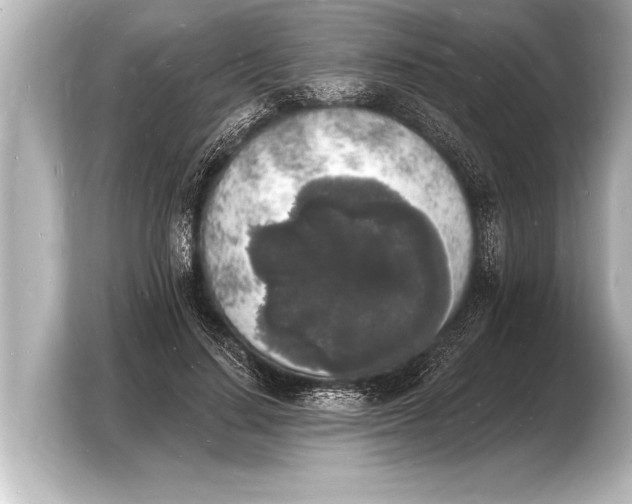 X0000103970644200810031225