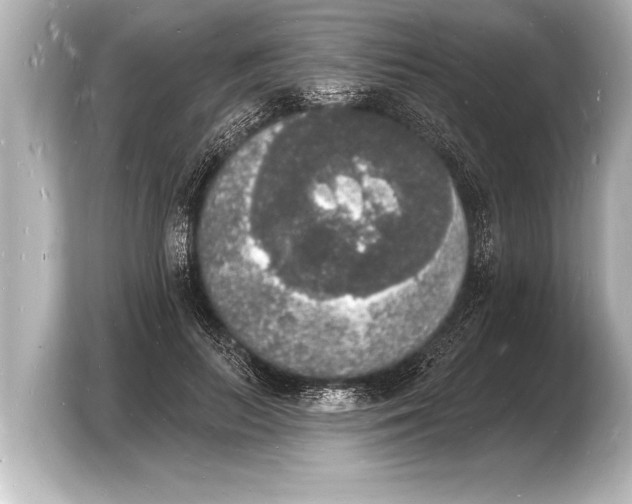 X0000103970647200810031225