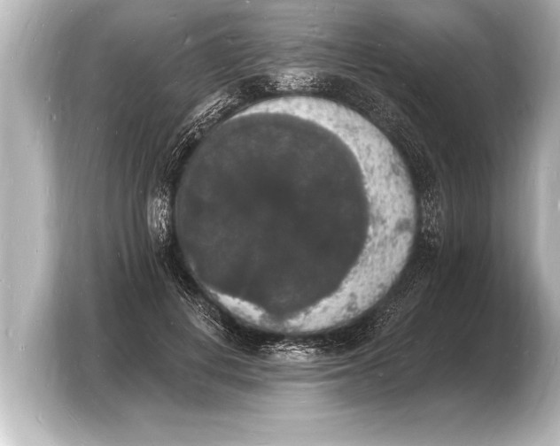 X0000103970648200810031225