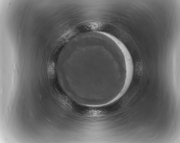 X0000103970650200810031225