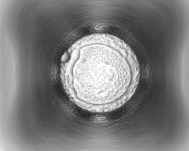 X0000103970651200810031225