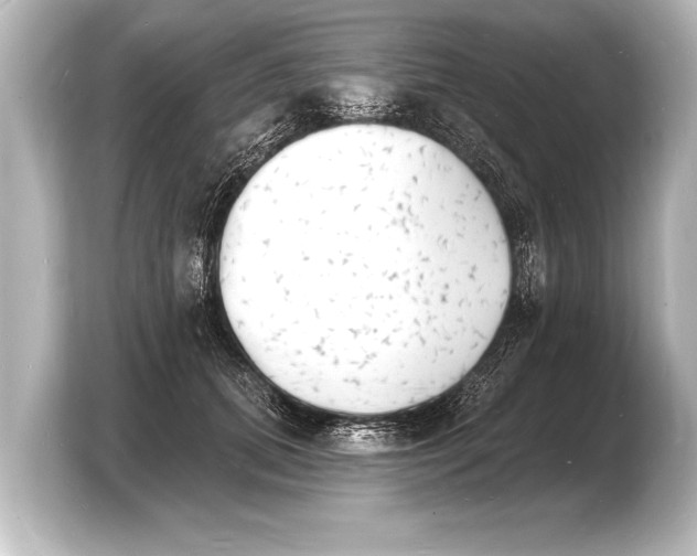 X0000103970655200810031225