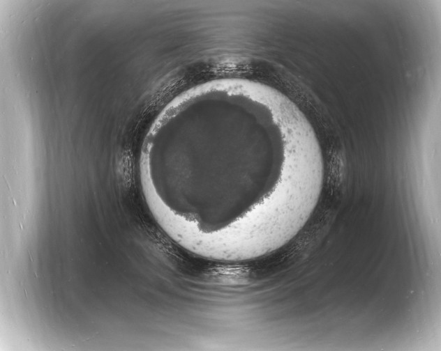 X0000103970659200810031225