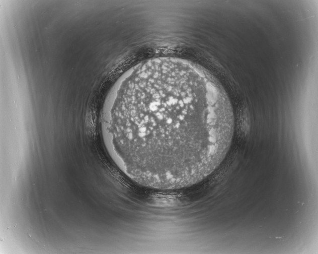 X0000103970661200810031225