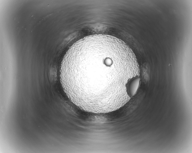 X0000103970668200810031225