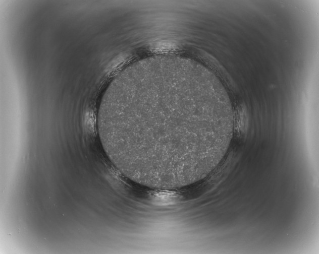 X0000103970669200810031225