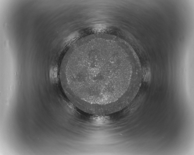 X0000103970670200810031225