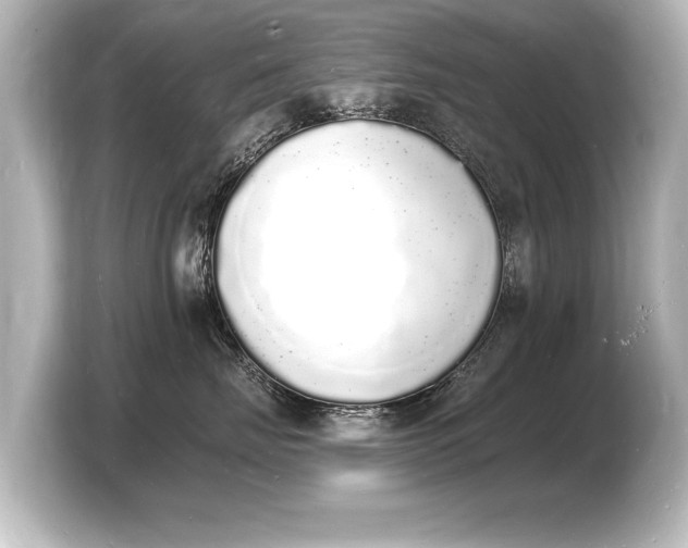 X0000103970671200810031225