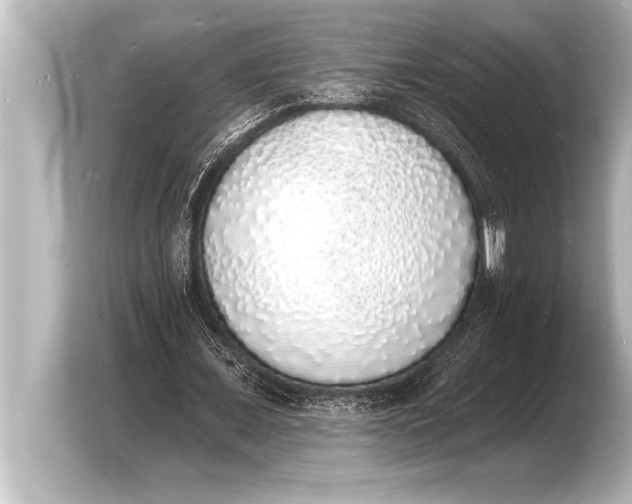 X0000103970675200810031225