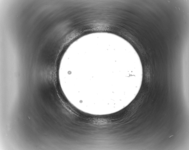 X0000103970677200810031225