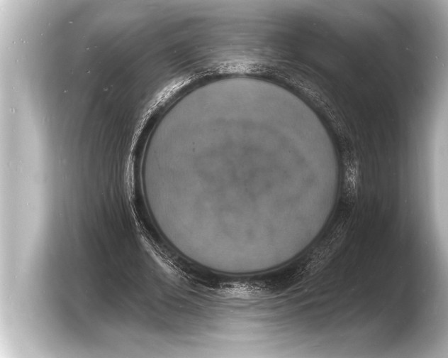 X0000103970678200810031225