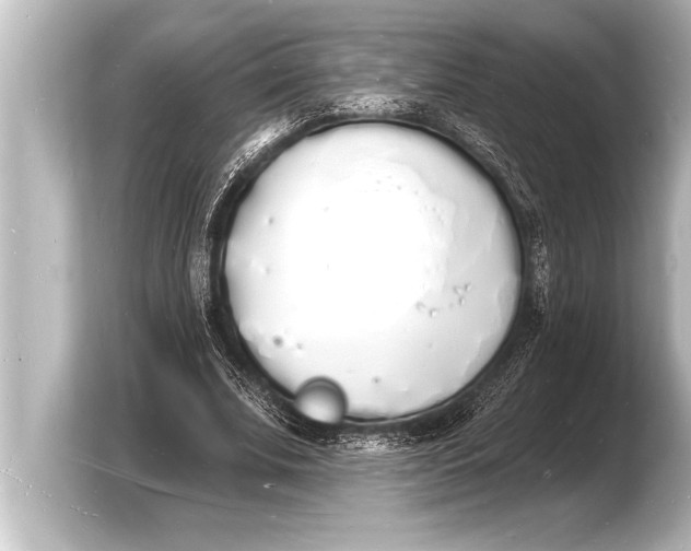 X0000103970679200810031225