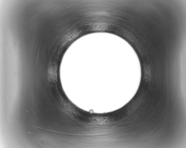 X0000103970681200810031225