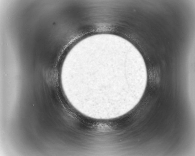 X0000103970684200810031225