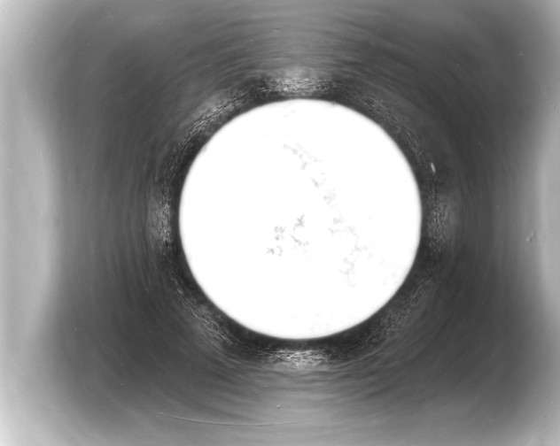 X0000103970689200810031225