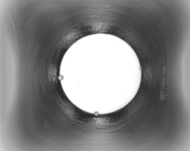 X0000103970693200810031224