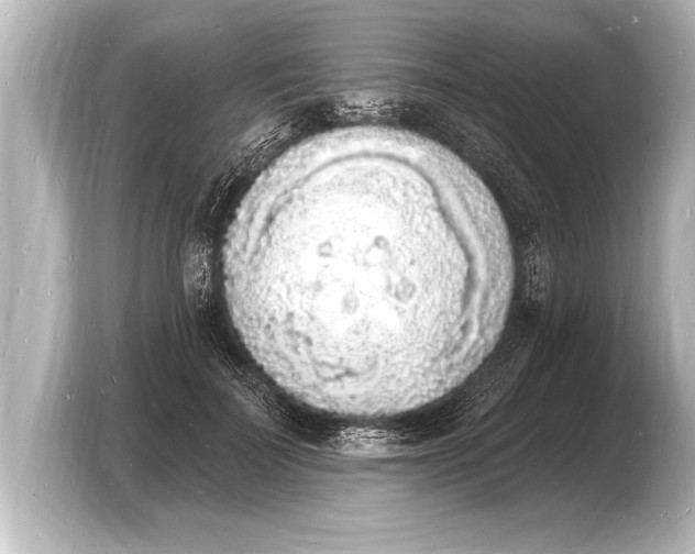 X0000103970699200810031224