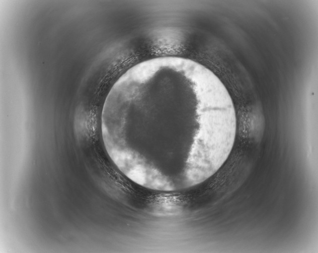 X0000103970701200810031224