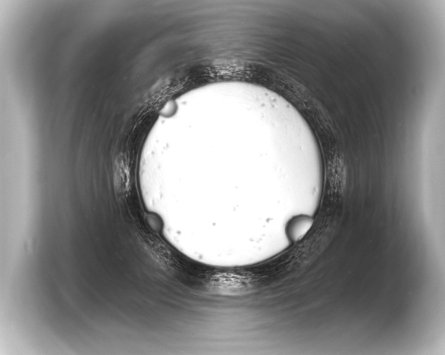 X0000103970703200810031224