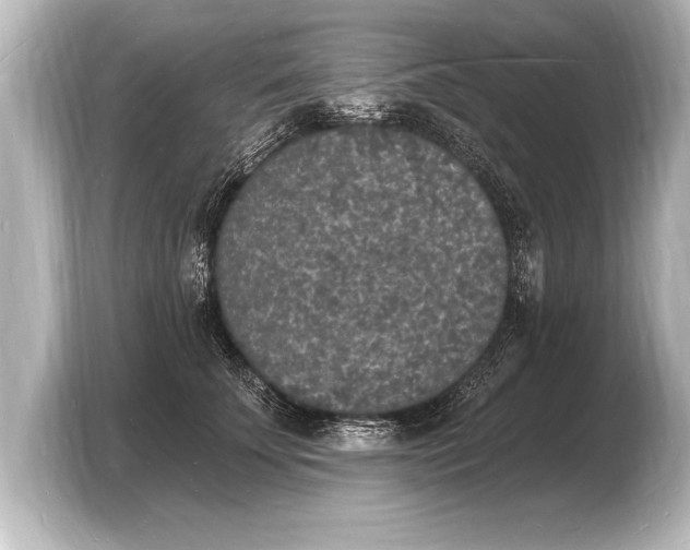 X0000103970707200810031224