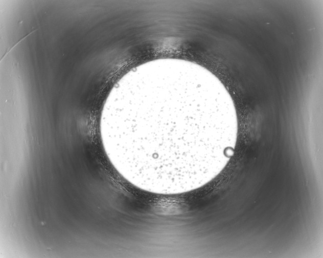 X0000103970708200810031224