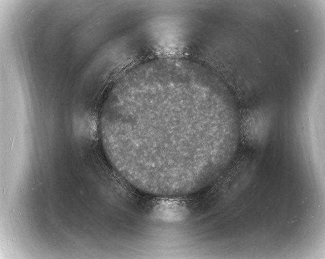 X0000103970709200810031224