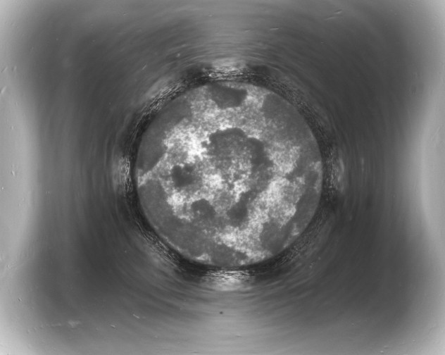 X0000103970711200810031224