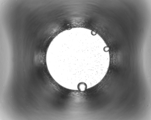 X0000103970712200810031224