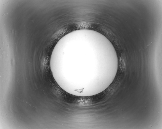 X0000103970714200810031224