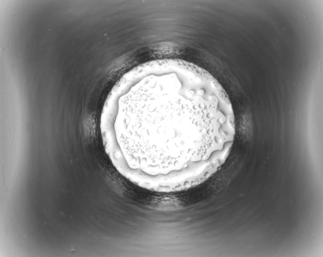 X0000103970715200810031224