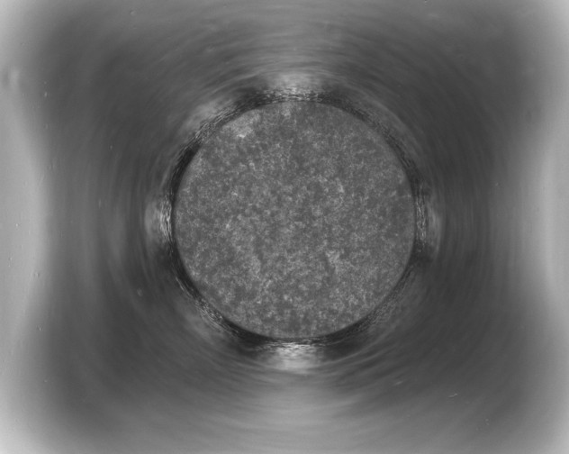 X0000103970718200810031224