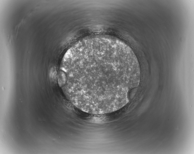 X0000103970720200810031224